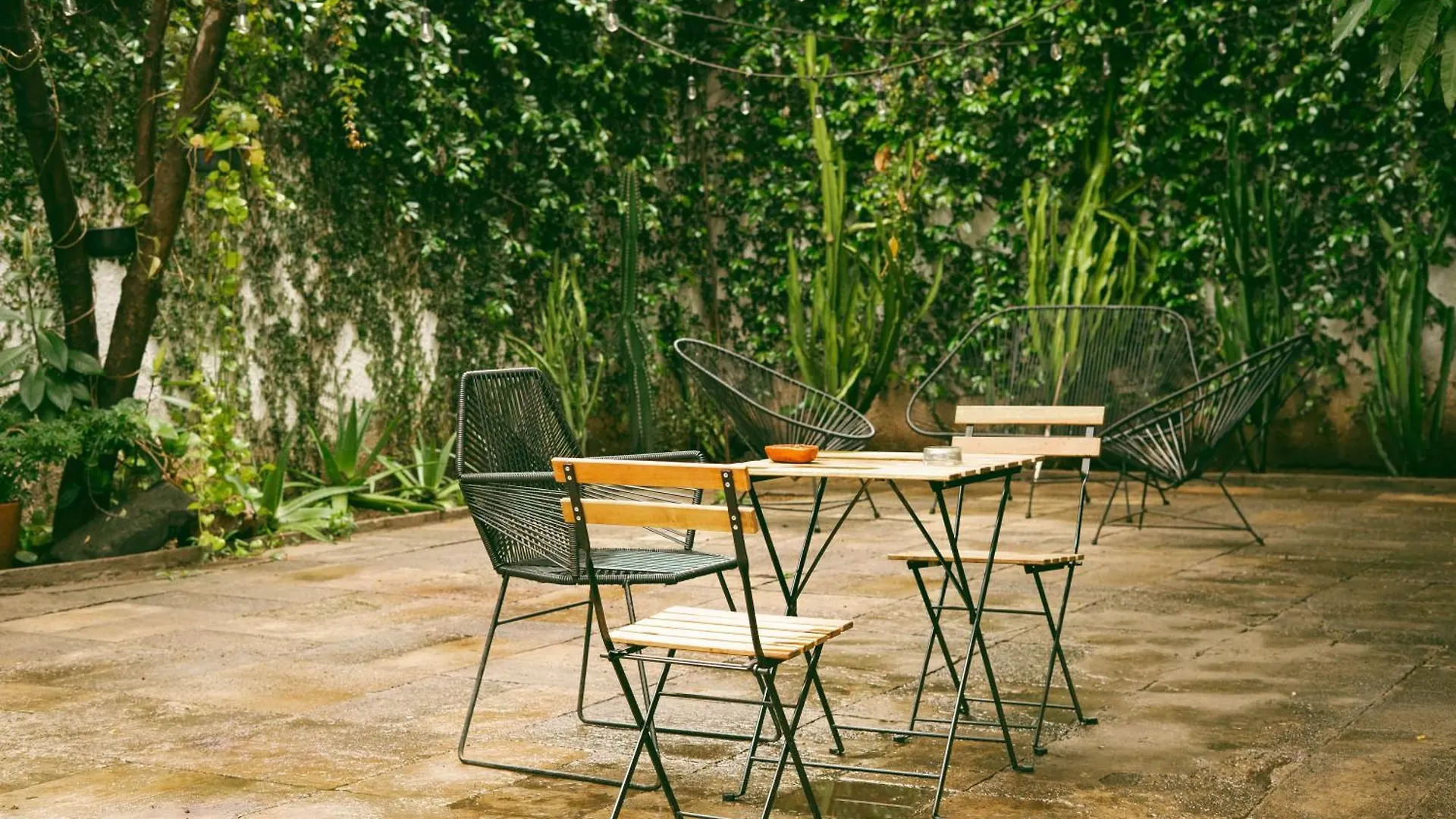 Casa Sabina Otel Guadalajara Meksika