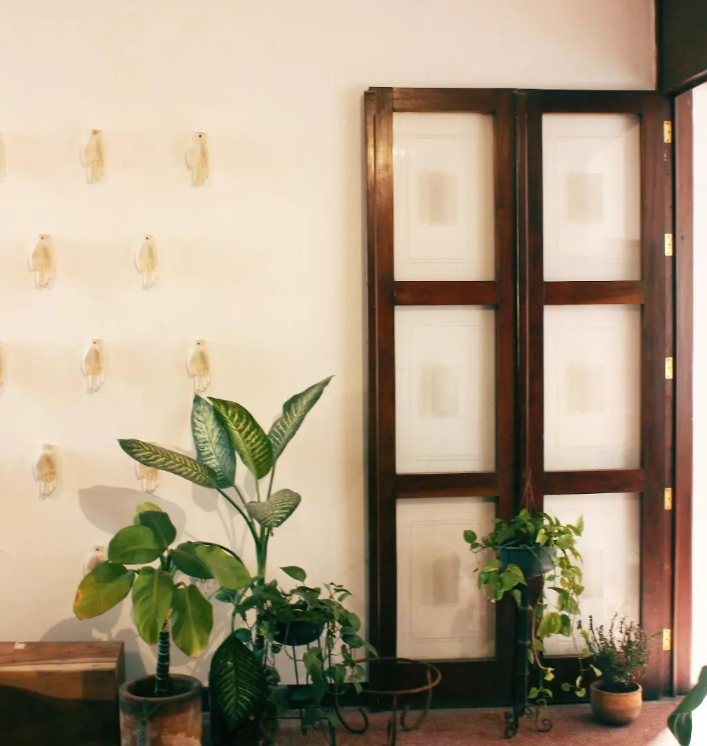Casa Sabina Otel Guadalajara Meksika